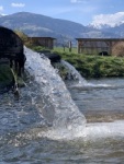 Wasserproben und Analyse