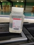 Wasserproben und Analyse